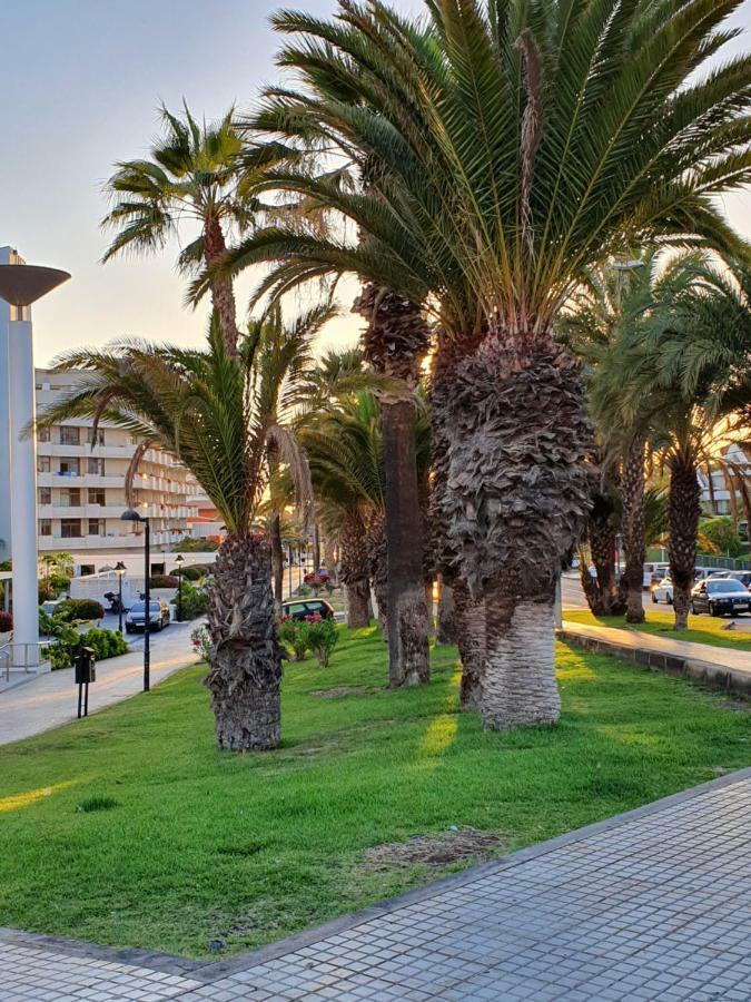 Spectacular Renovated Apartment, 5 Min To Camison Beach, With Aircon Арона Экстерьер фото